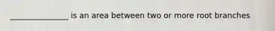 _______________ is an area between two or more root branches