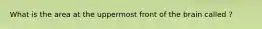 What is the area at the uppermost front of the brain called ?