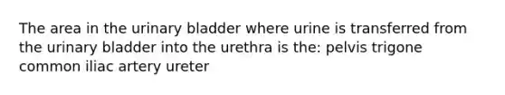 The area in the urinary bladder where urine is transferred from the urinary bladder into the urethra is the: pelvis trigone common iliac artery ureter