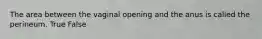 The area between the vaginal opening and the anus is called the perineum. True False