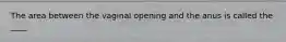 The area between the vaginal opening and the anus is called the ____