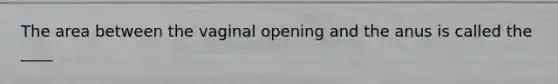 The area between the vaginal opening and the anus is called the ____