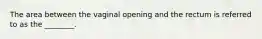The area between the vaginal opening and the rectum is referred to as the ________.