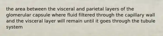 the area between the visceral and parietal layers of the glomerular capsule where fluid filtered through the capillary wall and the visceral layer will remain until it goes through the tubule system