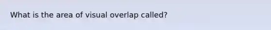 What is the area of visual overlap called?