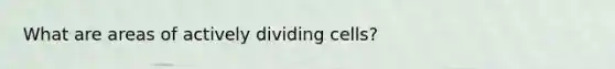 What are areas of actively dividing cells?