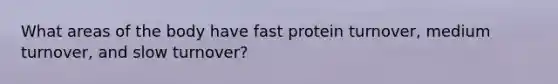 What areas of the body have fast protein turnover, medium turnover, and slow turnover?