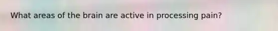 What areas of the brain are active in processing pain?