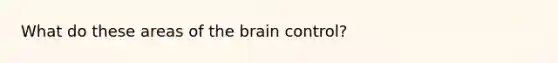 What do these areas of the brain control?