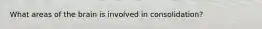 What areas of the brain is involved in consolidation?