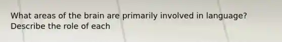 What areas of the brain are primarily involved in language? Describe the role of each