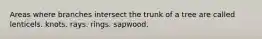 Areas where branches intersect the trunk of a tree are called lenticels. knots. rays. rings. sapwood.