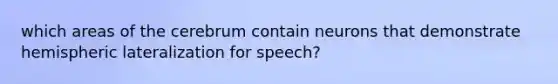 which areas of the cerebrum contain neurons that demonstrate hemispheric lateralization for speech?