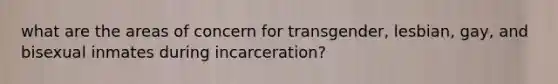 what are the areas of concern for transgender, lesbian, gay, and bisexual inmates during incarceration?