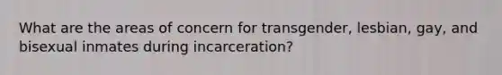 What are the areas of concern for transgender, lesbian, gay, and bisexual inmates during incarceration?