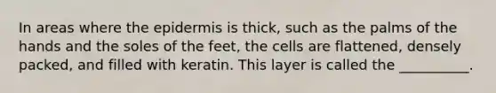 In areas where the epidermis is thick, such as the palms of the hands and the soles of the feet, the cells are flattened, densely packed, and filled with keratin. This layer is called the __________.