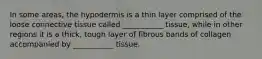In some areas, the hypodermis is a thin layer comprised of the loose connective tissue called ___________ tissue, while in other regions it is a thick, tough layer of fibrous bands of collagen accompanied by ___________ tissue.