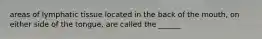 areas of lymphatic tissue located in the back of the mouth, on either side of the tongue, are called the ______
