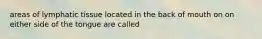 areas of lymphatic tissue located in the back of mouth on on either side of the tongue are called