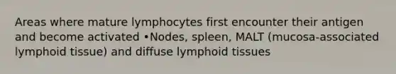 Areas where mature lymphocytes first encounter their antigen and become activated •Nodes, spleen, MALT (mucosa-associated lymphoid tissue) and diffuse lymphoid tissues