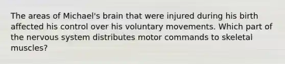 The areas of Michael's brain that were injured during his birth affected his control over his voluntary movements. Which part of the <a href='https://www.questionai.com/knowledge/kThdVqrsqy-nervous-system' class='anchor-knowledge'>nervous system</a> distributes motor commands to skeletal muscles?