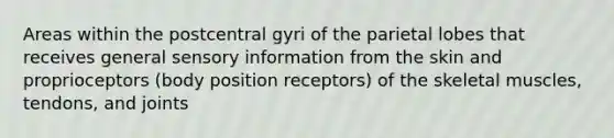 Areas within the postcentral gyri of the parietal lobes that receives general sensory information from the skin and proprioceptors (body position receptors) of the skeletal muscles, tendons, and joints