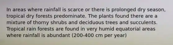 In areas where rainfall is scarce or there is prolonged dry season, tropical dry forests predominate. The plants found there are a mixture of thorny shrubs and deciduous trees and succulents. Tropical rain forests are found in very humid equatorial areas where rainfall is abundant (200-400 cm per year)