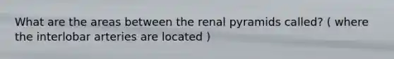 What are the areas between the renal pyramids called? ( where the interlobar arteries are located )