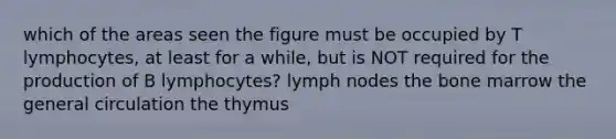 which of the areas seen the figure must be occupied by T lymphocytes, at least for a while, but is NOT required for the production of B lymphocytes? lymph nodes the bone marrow the general circulation the thymus