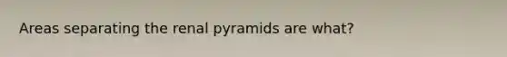 Areas separating the renal pyramids are what?