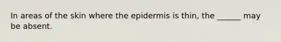 In areas of the skin where <a href='https://www.questionai.com/knowledge/kBFgQMpq6s-the-epidermis' class='anchor-knowledge'>the epidermis</a> is thin, the ______ may be absent.