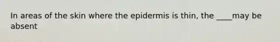 In areas of the skin where <a href='https://www.questionai.com/knowledge/kBFgQMpq6s-the-epidermis' class='anchor-knowledge'>the epidermis</a> is thin, the ____may be absent