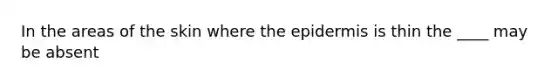 In the areas of the skin where the epidermis is thin the ____ may be absent