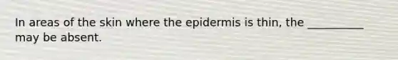 In areas of the skin where the epidermis is thin, the __________ may be absent.