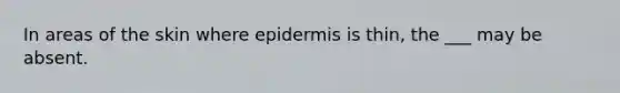 In areas of the skin where epidermis is thin, the ___ may be absent.