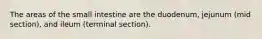 The areas of the small intestine are the duodenum, jejunum (mid section), and ileum (terminal section).