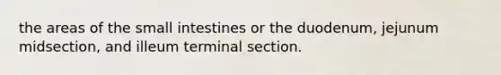 the areas of the small intestines or the duodenum, jejunum midsection, and illeum terminal section.