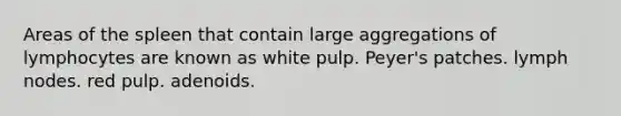 Areas of the spleen that contain large aggregations of lymphocytes are known as white pulp. Peyer's patches. lymph nodes. red pulp. adenoids.