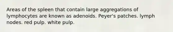 Areas of the spleen that contain large aggregations of lymphocytes are known as adenoids. Peyer's patches. lymph nodes. red pulp. white pulp.