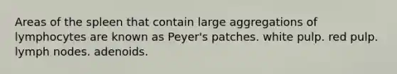 Areas of the spleen that contain large aggregations of lymphocytes are known as Peyer's patches. white pulp. red pulp. lymph nodes. adenoids.