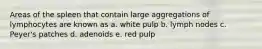 Areas of the spleen that contain large aggregations of lymphocytes are known as a. white pulp b. lymph nodes c. Peyer's patches d. adenoids e. red pulp