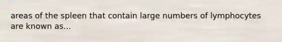 areas of the spleen that contain large numbers of lymphocytes are known as...