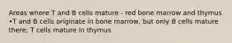 Areas where T and B cells mature - red bone marrow and thymus •T and B cells originate in bone marrow, but only B cells mature there; T cells mature in thymus