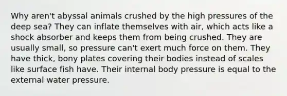 Why aren't abyssal animals crushed by the high pressures of the deep sea? They can inflate themselves with air, which acts like a shock absorber and keeps them from being crushed. They are usually small, so pressure can't exert much force on them. They have thick, bony plates covering their bodies instead of scales like surface fish have. Their internal body pressure is equal to the external water pressure.