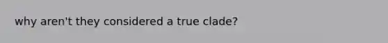 why aren't they considered a true clade?