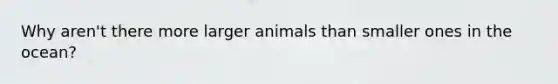 Why aren't there more larger animals than smaller ones in the ocean?