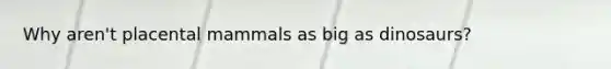 Why aren't placental mammals as big as dinosaurs?