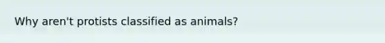 Why aren't protists classified as animals?