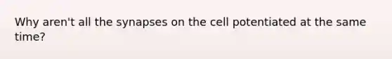 Why aren't all <a href='https://www.questionai.com/knowledge/kTCXU7vaKU-the-synapse' class='anchor-knowledge'>the synapse</a>s on the cell potentiated at the same time?