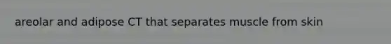 areolar and adipose CT that separates muscle from skin